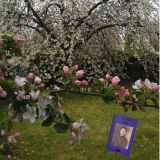 Julie au verger Extrait chapitre 6 ©EditionsCoryphene